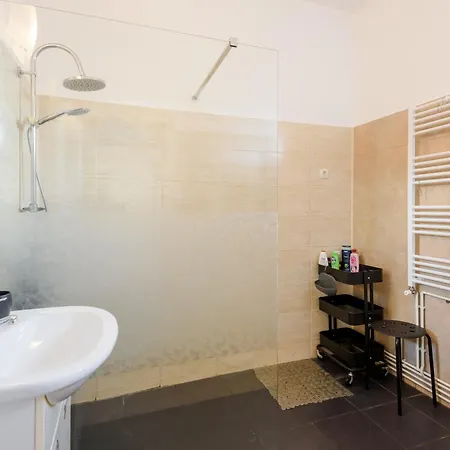 Apartment Casa Cu Cires