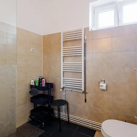 Casa Cu Cires Apartment