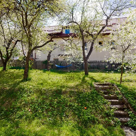 Casa Cu Cires Apartment Brasov