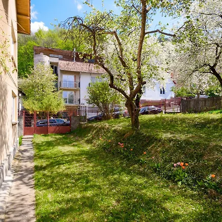 Casa Cu Cires Brasov